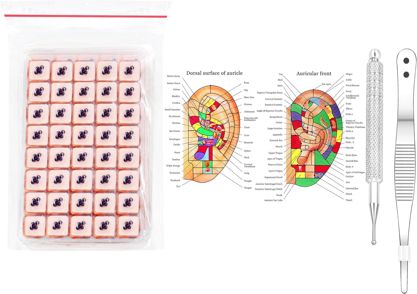 Uloveido Ear Seeds Auricular Sticker Kit, Acupuncture Kit Acupressure with Ears Seed, Ear Chart, Tweezer, Auricular Probing Pen (800 Pairs)